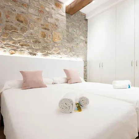 Apartment Alde-zahar. Basquenjoy