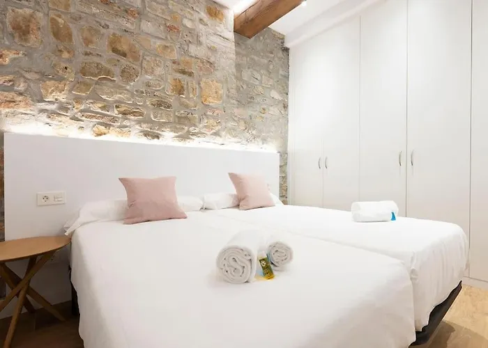 Apartment Alde-zahar. Basquenjoy